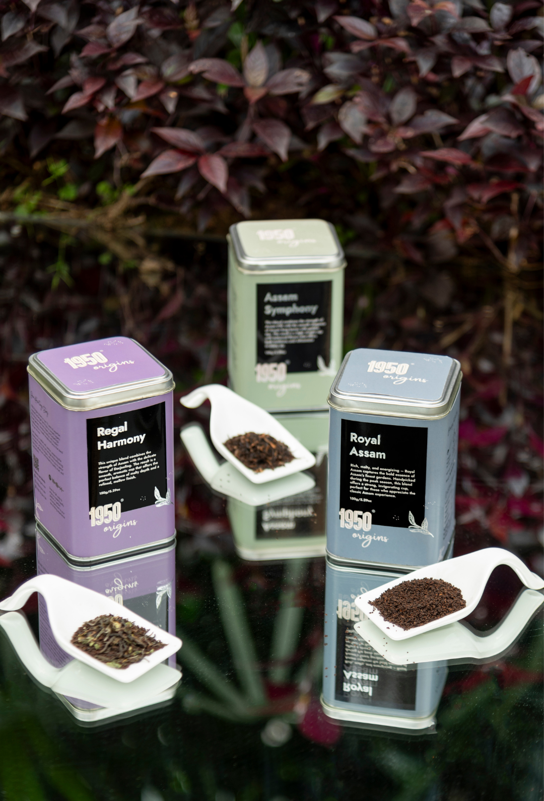 Royal Assam, Assam Symphony & Regal Harmony