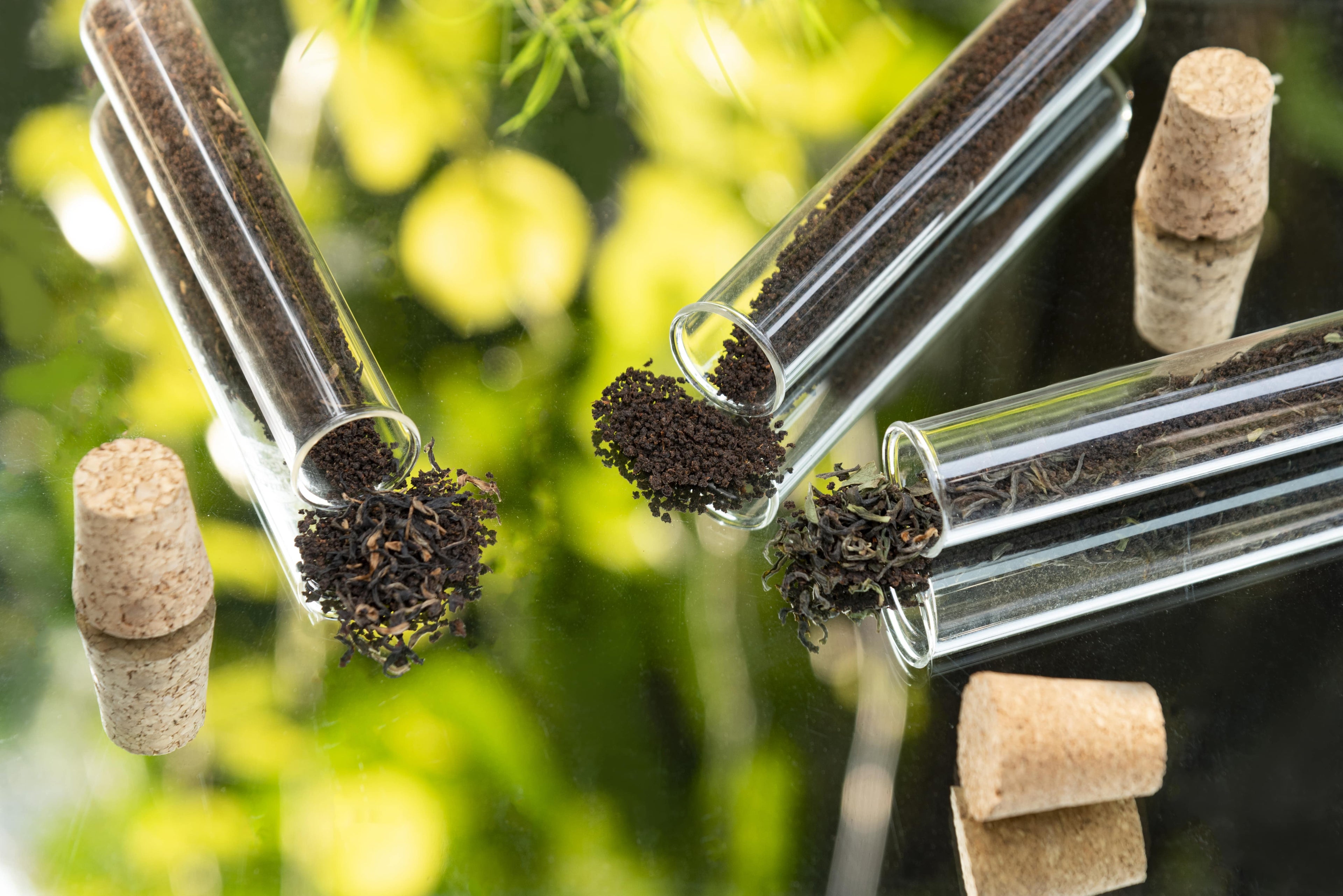 test tube with tea