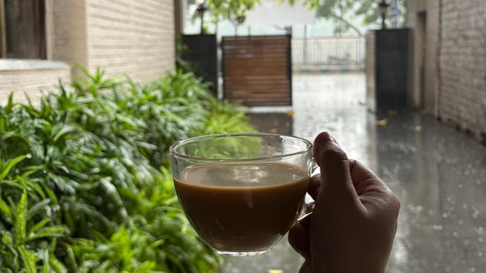 Monsoon and Tea: Why They Make the Perfect Pair