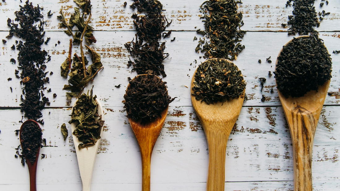 The Secret Behind the Malty Flavour of Assam Tea