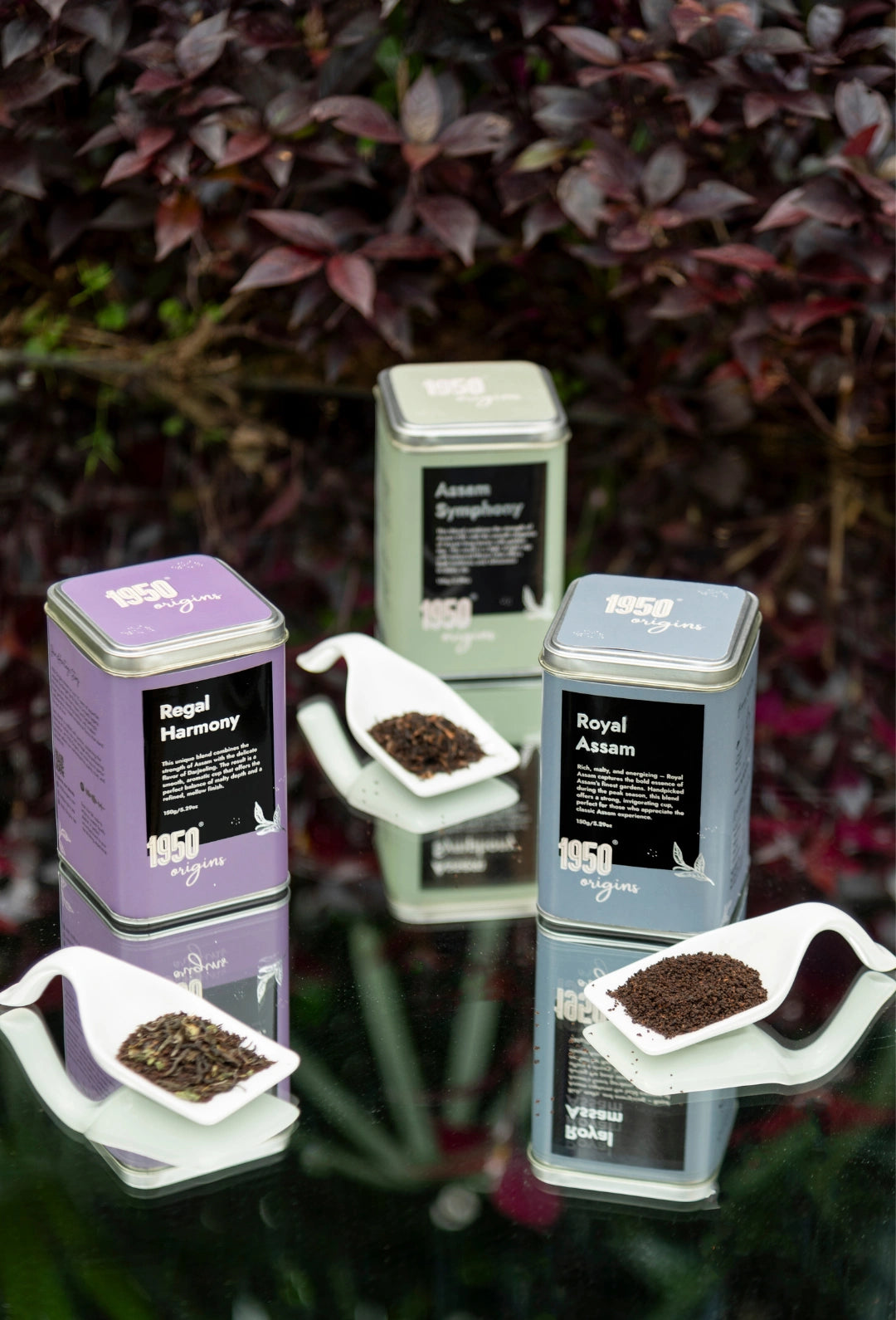 Royal Assam, Assam Symphony & Regal Harmony