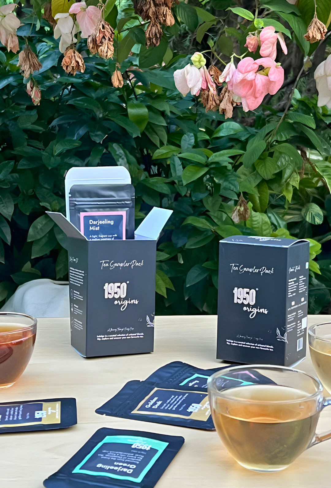 Whole Leaf Tea Sampler Pack