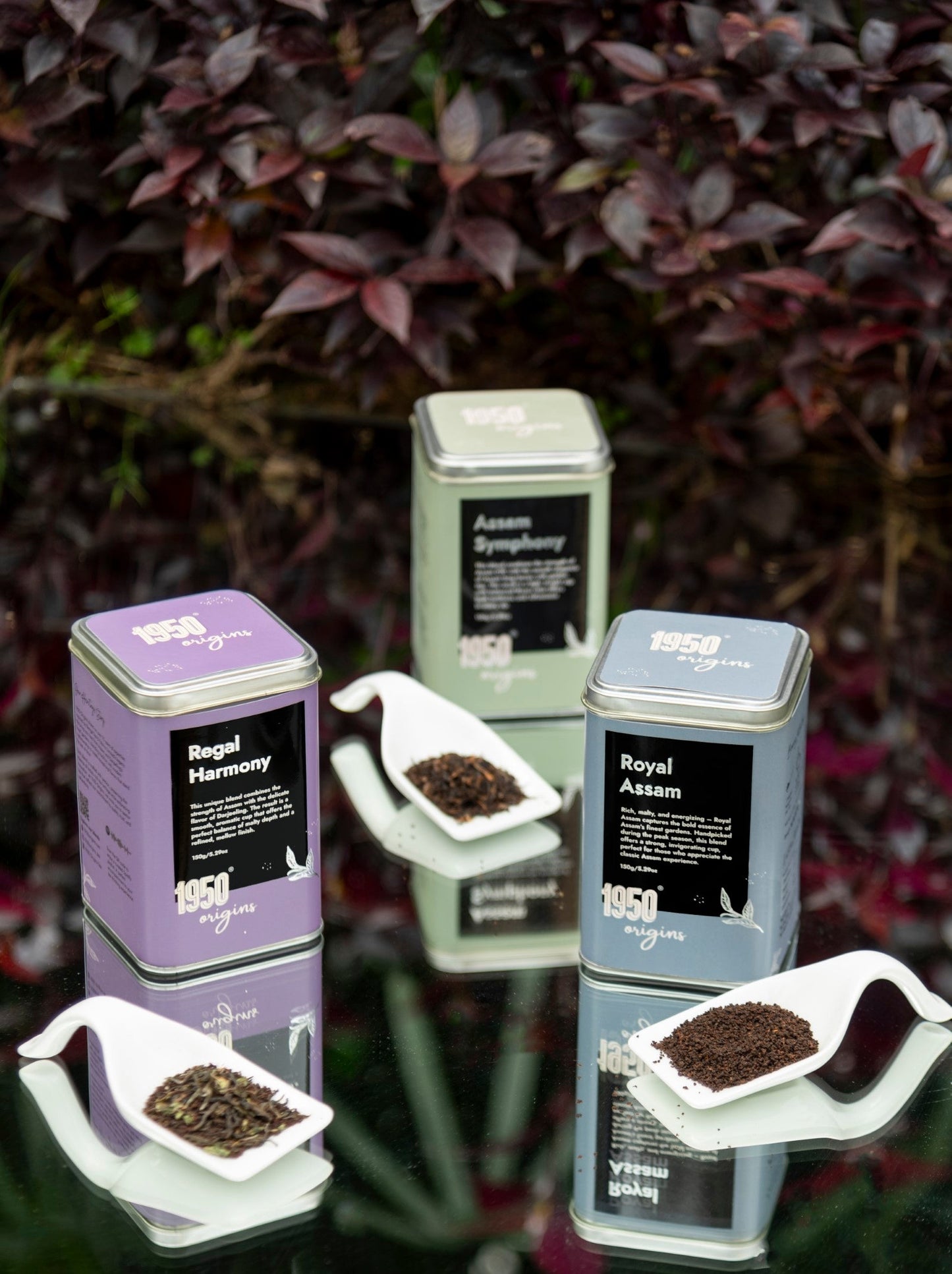 Royal Assam, Assam Symphony & Regal Harmony