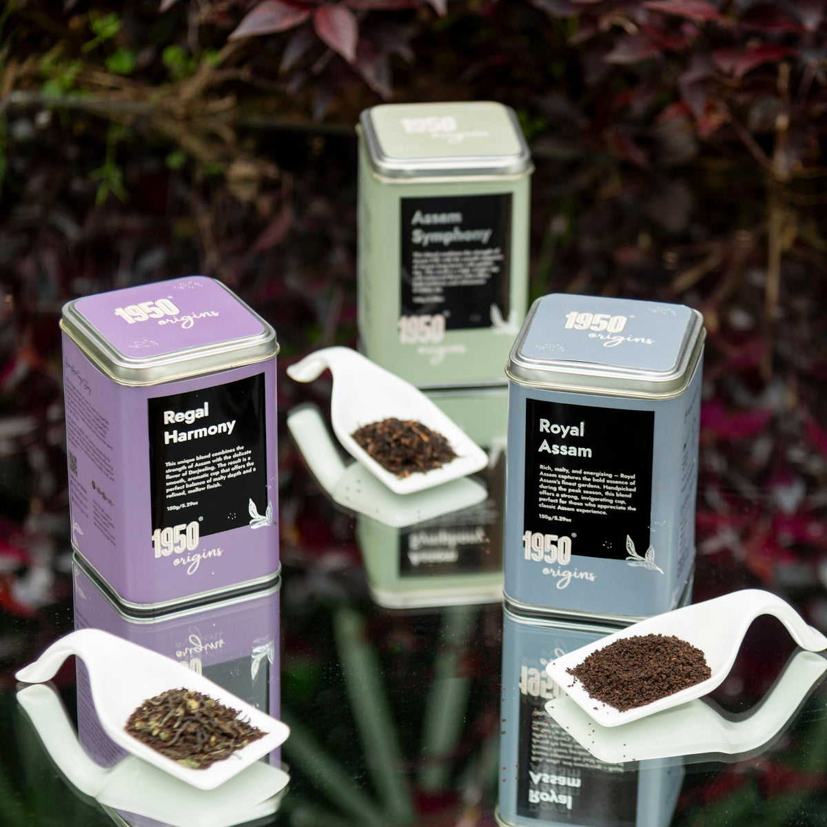Royal Assam, Assam Symphony & Regal Harmony