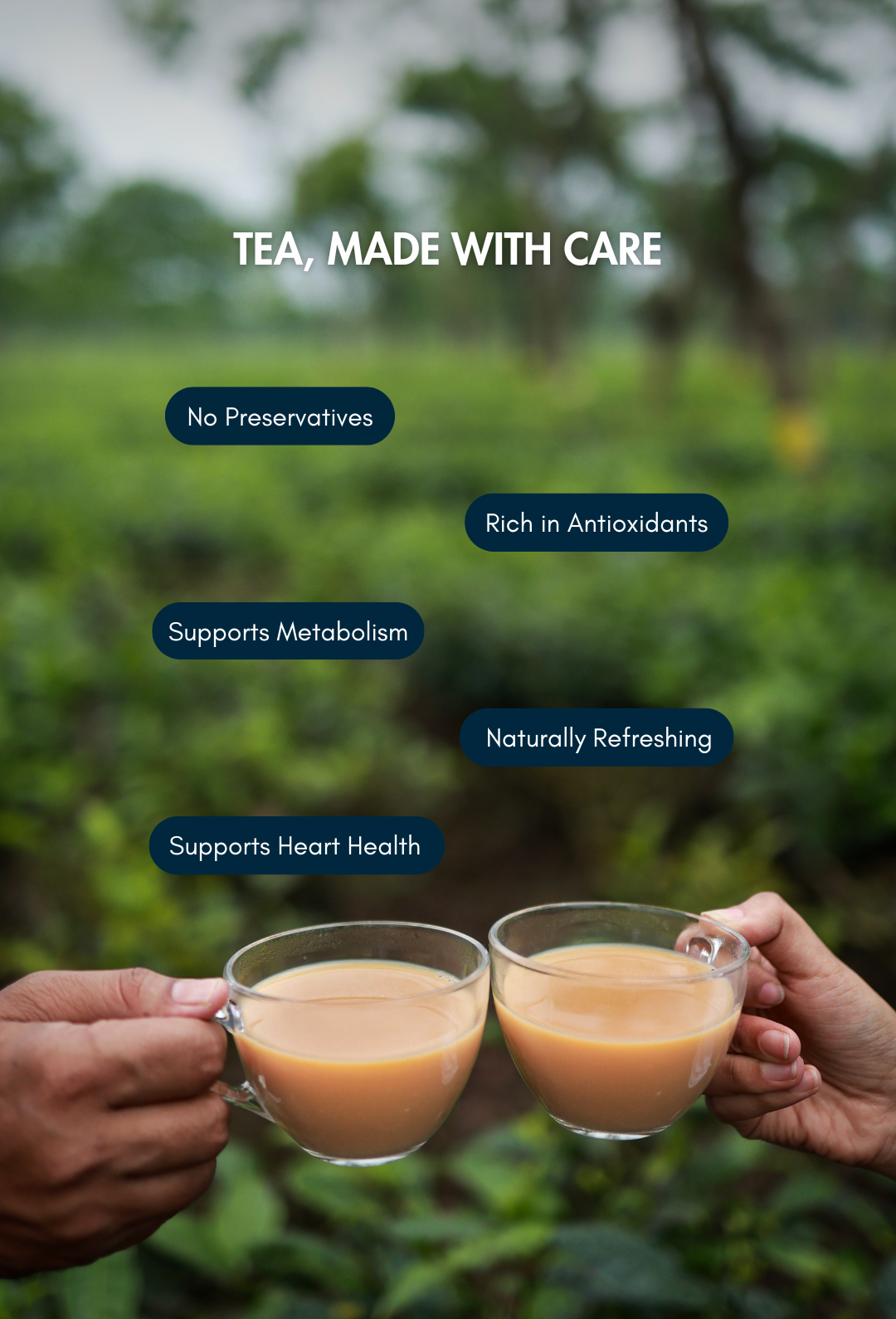 CTC Tea Sampler Pack