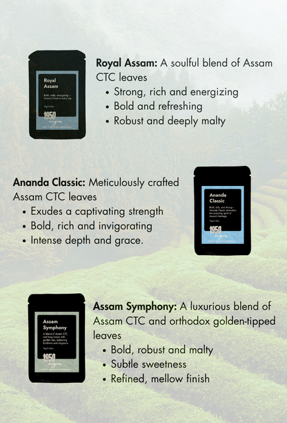 CTC Tea Sampler Pack