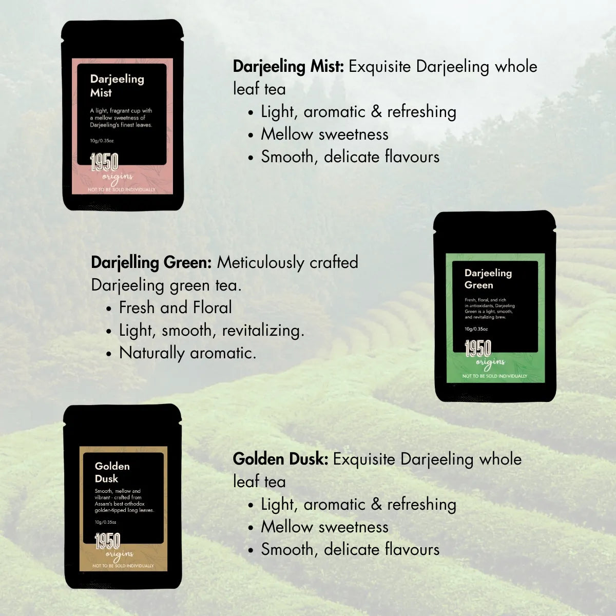 Whole Leaf Tea Sampler Pack