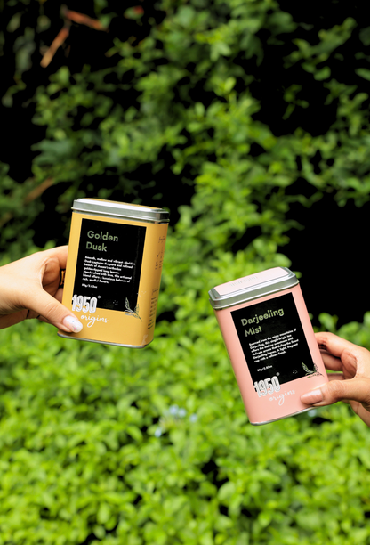 Darjeeling Mist & Golden Dusk