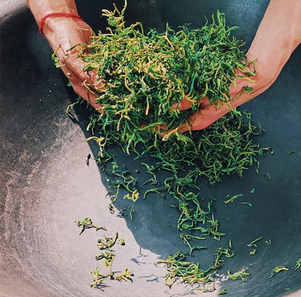 separeting tea leaf