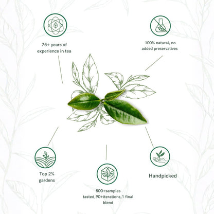 Darjeeling Muscatel & Darjeeling Mist